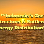 **Indonesia’s Gas Infrastructure: A Bottleneck in Energy Distribution**
