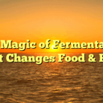 ﻿The Magic of Fermentation: How It Changes Food & Health