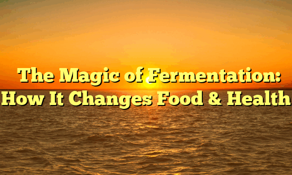 The Magic of Fermentation: How It Changes Food & Health The Magic of Fermentation: How It Changes Food & Health