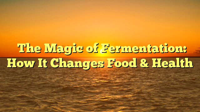 ﻿The Magic of Fermentation: How It Changes Food & Health